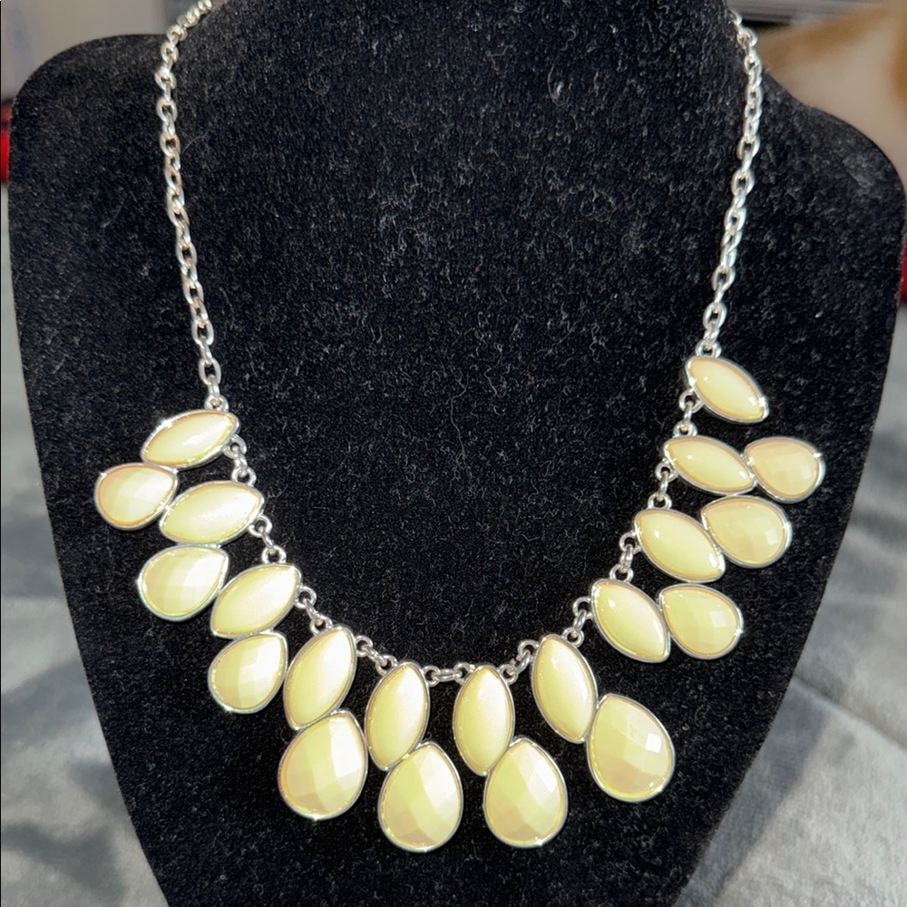 NWT Liz Claiborne necklace with silver hardware
